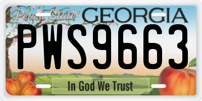 GA license plate PWS9663