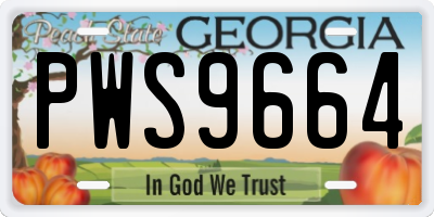 GA license plate PWS9664