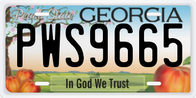 GA license plate PWS9665