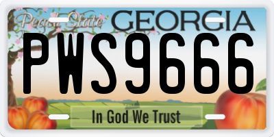 GA license plate PWS9666