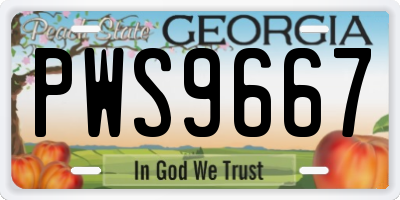 GA license plate PWS9667