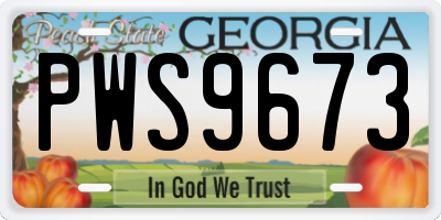 GA license plate PWS9673