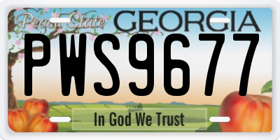 GA license plate PWS9677