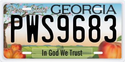 GA license plate PWS9683