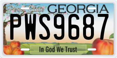 GA license plate PWS9687