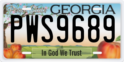 GA license plate PWS9689