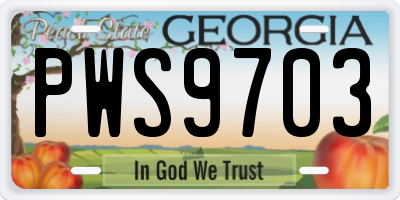 GA license plate PWS9703