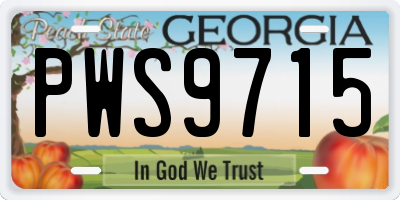 GA license plate PWS9715