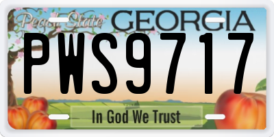 GA license plate PWS9717