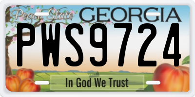 GA license plate PWS9724