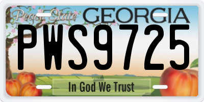 GA license plate PWS9725
