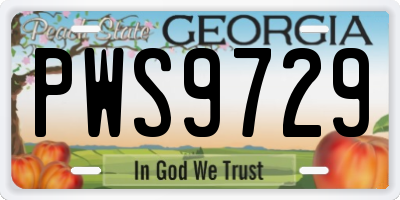 GA license plate PWS9729