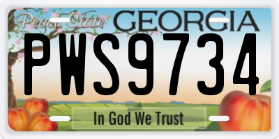 GA license plate PWS9734