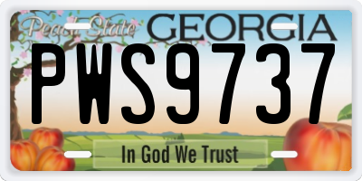 GA license plate PWS9737