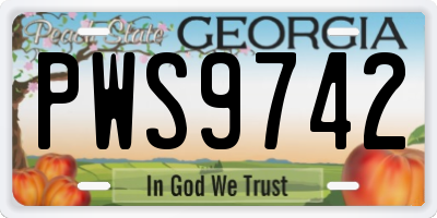 GA license plate PWS9742
