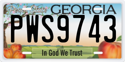 GA license plate PWS9743