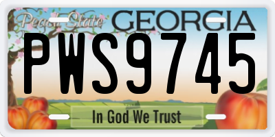 GA license plate PWS9745