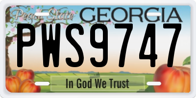 GA license plate PWS9747