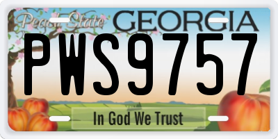 GA license plate PWS9757