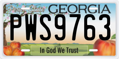 GA license plate PWS9763