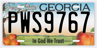 GA license plate PWS9767