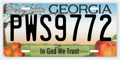 GA license plate PWS9772