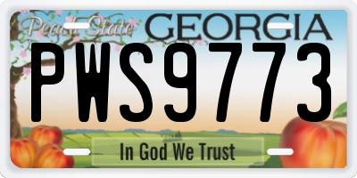 GA license plate PWS9773