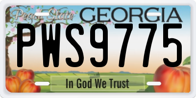 GA license plate PWS9775