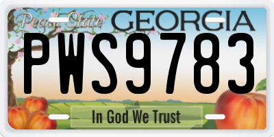 GA license plate PWS9783
