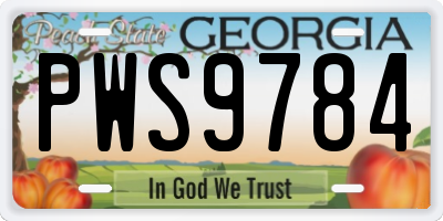GA license plate PWS9784