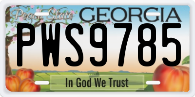 GA license plate PWS9785