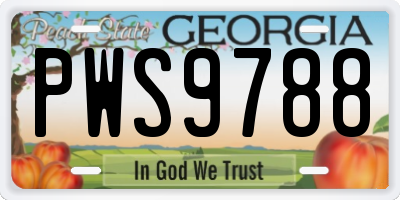 GA license plate PWS9788