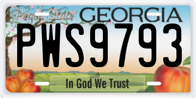 GA license plate PWS9793