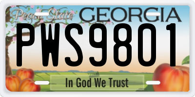 GA license plate PWS9801