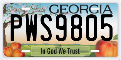 GA license plate PWS9805