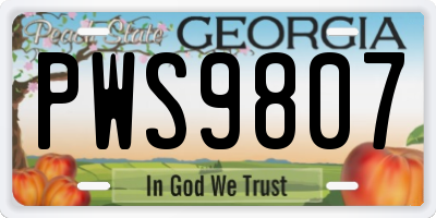 GA license plate PWS9807