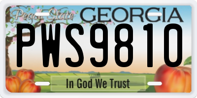 GA license plate PWS9810