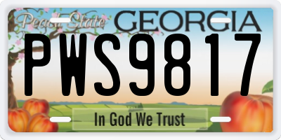 GA license plate PWS9817