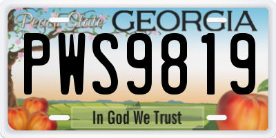 GA license plate PWS9819