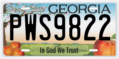 GA license plate PWS9822