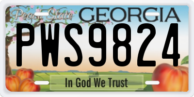 GA license plate PWS9824