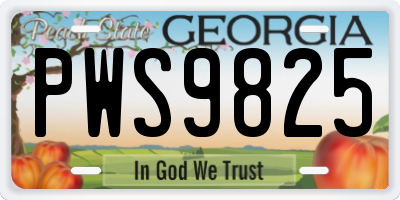 GA license plate PWS9825