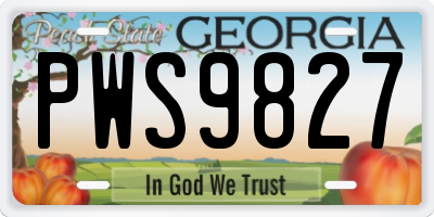 GA license plate PWS9827