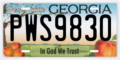 GA license plate PWS9830