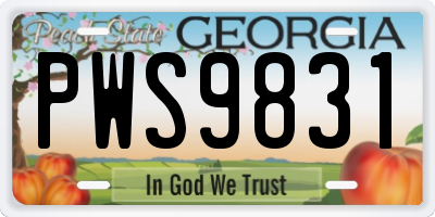 GA license plate PWS9831