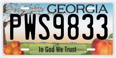 GA license plate PWS9833