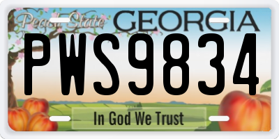 GA license plate PWS9834