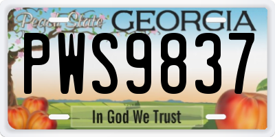 GA license plate PWS9837