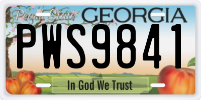 GA license plate PWS9841