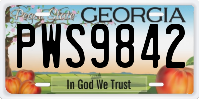 GA license plate PWS9842
